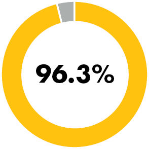 96.3% donut chart