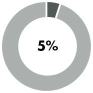 5% donut chart