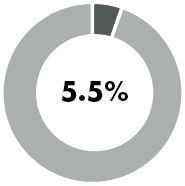 5.5%  donut chart