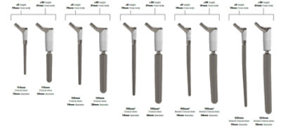 Restoration® Modular implant sizes