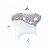 glenoid-fossa-component