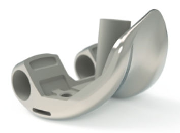 Hinge Femur