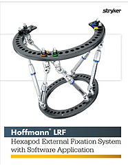 Hoffmann LRF Hexapod brochure