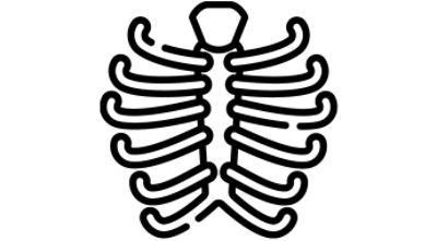 Ribcage icon