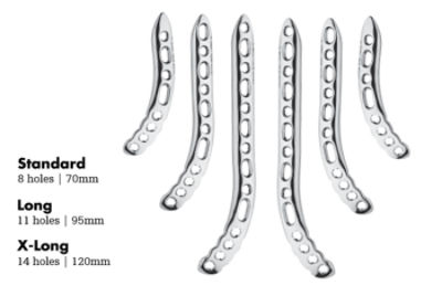 lateral plates