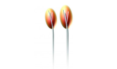 The 20-gauge Venom cannula creates a larger lesion compared to the standard configuration