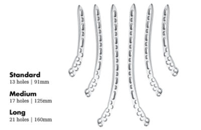 posterolateral plates