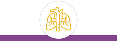 Gold icon of the lungs and trachea above a purple bottom border.