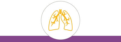 Gold icon of the lungs and trachea above a purple bottom border.