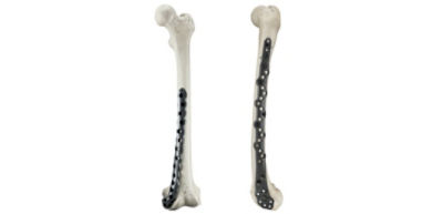 standalone-plating-image