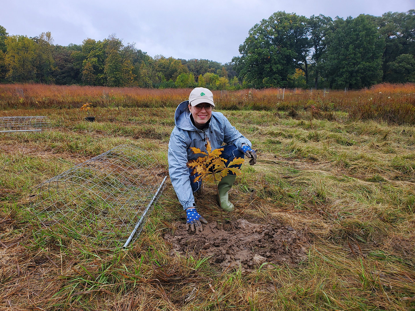 Person in gray raincoat planting a tree